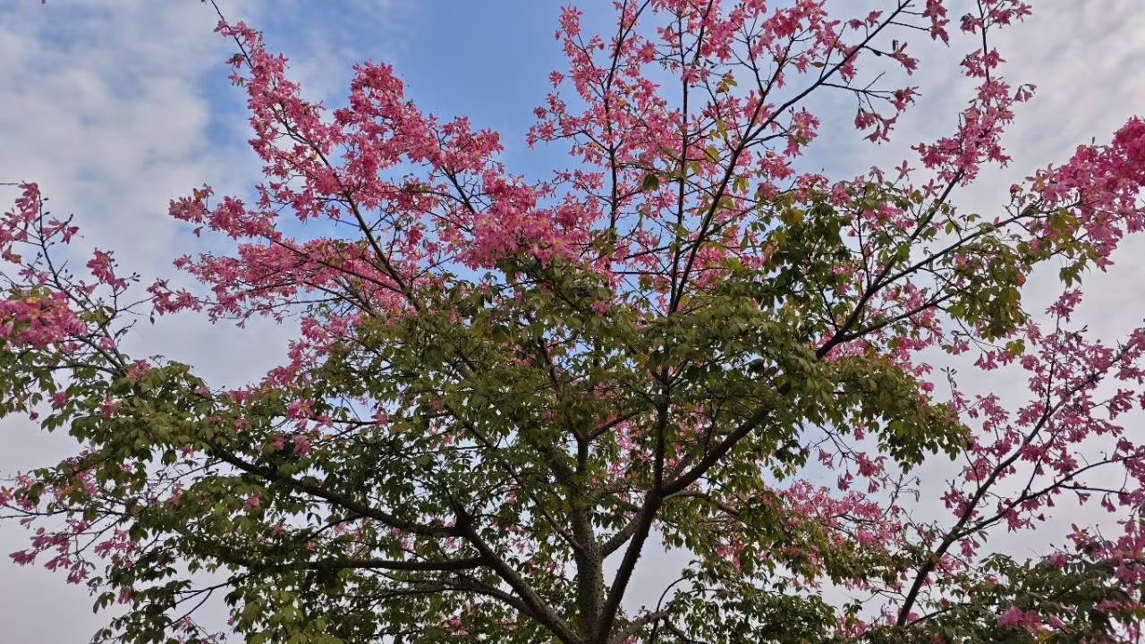 泰比特拓展活动